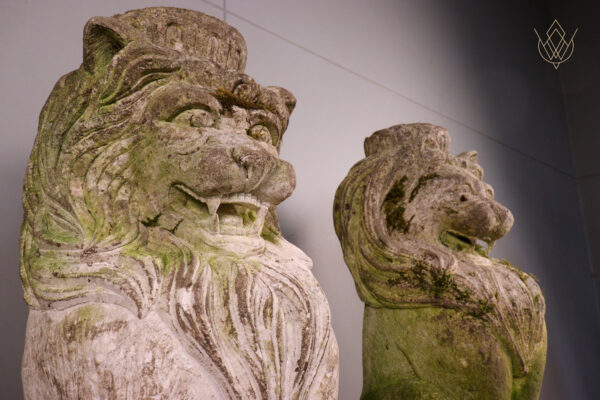 Pair of Limestone Carved Stone Lions on Plinths - WM12099 - Image 4