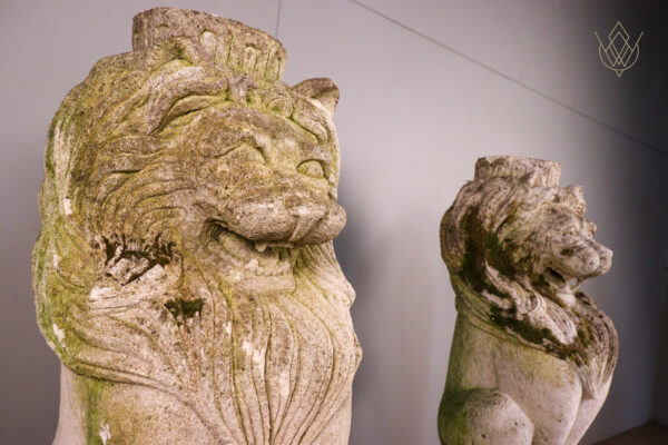 Pair of Limestone Carved Stone Lions on Plinths - WM12103 - Image 5