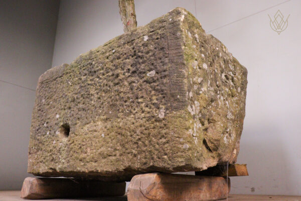 19th Century Sandstone Trough inc Large Juniper Bonsai Tree - WM12124 - Image 7