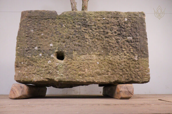 19th Century Sandstone Trough inc Large Juniper Bonsai Tree - WM12124 - Image 6