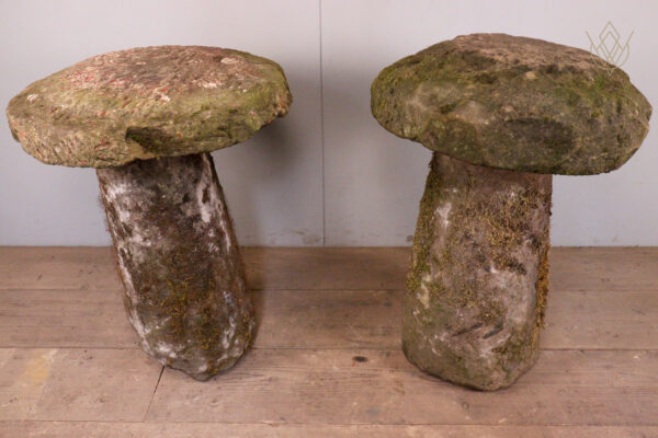 Pair of 19th Century Stone Mushrooms/Staddle Stones - WM12128 - Image 7