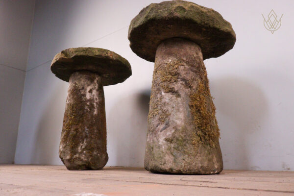 Pair of 19th Century Stone Mushrooms/Staddle Stones - WM12128 - Image 4