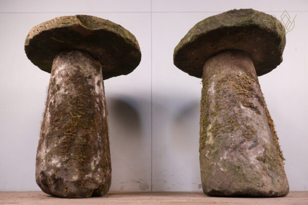 Pair of 19th Century Stone Mushrooms/Staddle Stones - WM12128 - Image 3