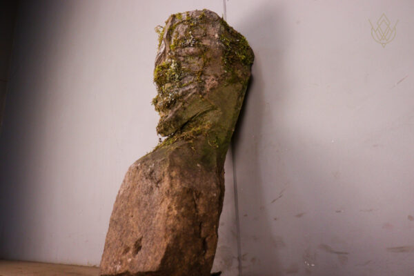 Reclaimed Stone Head/Grotesque - WM12143 - Image 6
