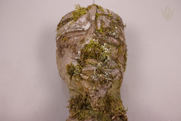 Reclaimed Stone Head/Grotesque - WM12143 - Image 5