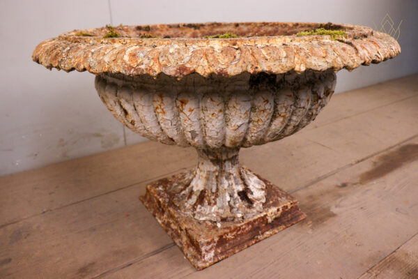 19th Century Cast Iron Tazza Urn - WM12241 - Image 4