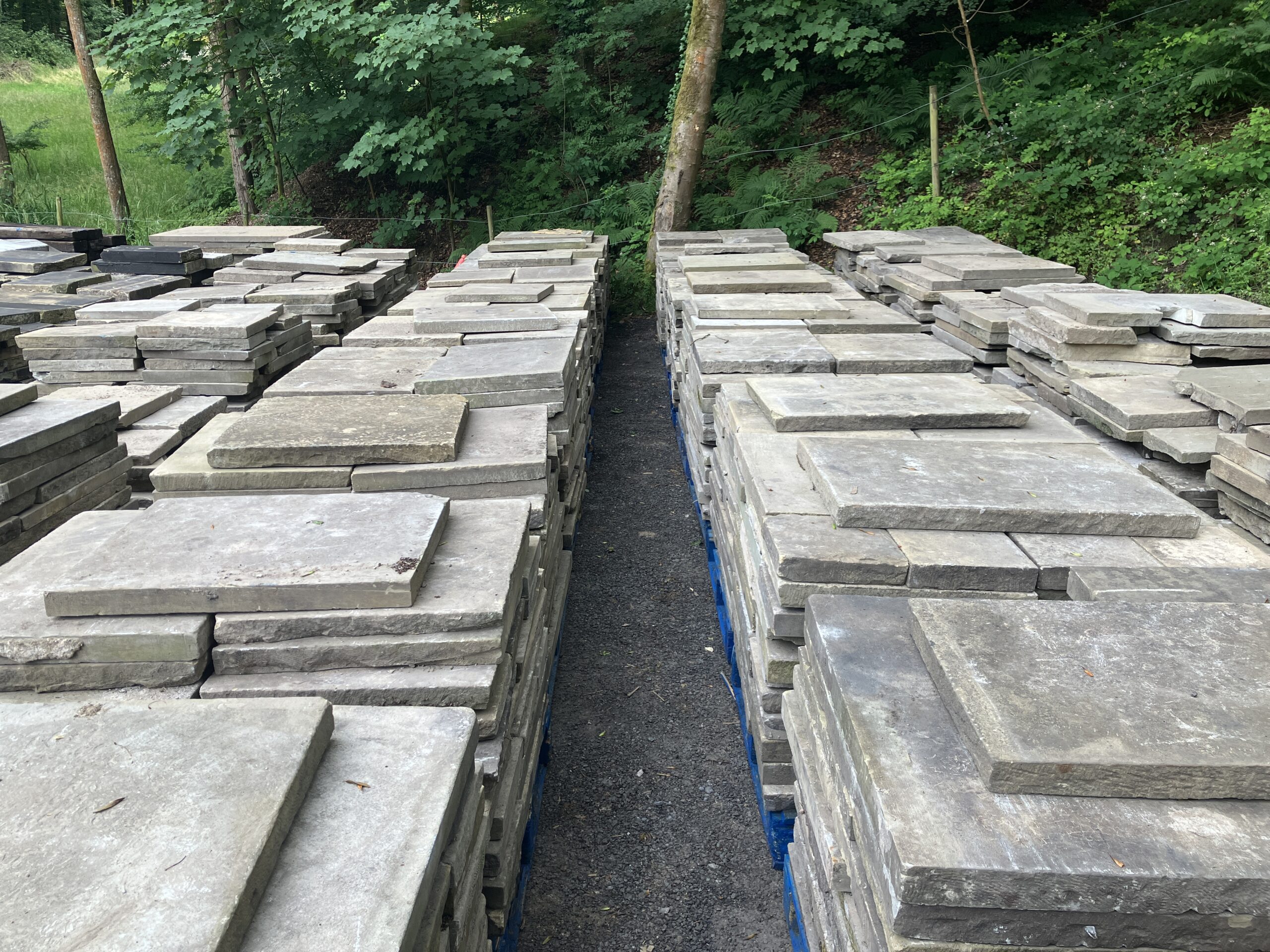Reclaimed Yorkstone Paving Flags 'Queens Gardens, Hull' - WM12458 - Image 3