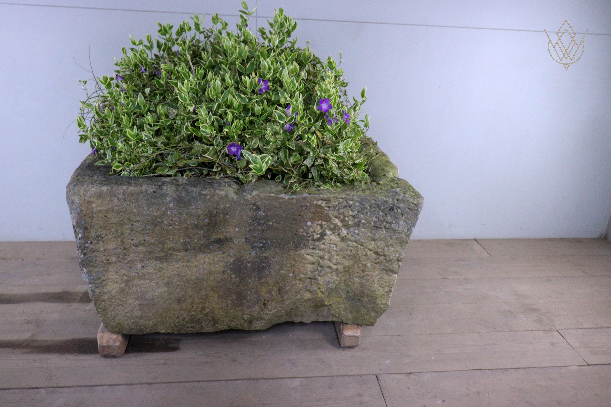 Large 18th Century Planted Sandstone Water Trough - WM12479 - Image 16
