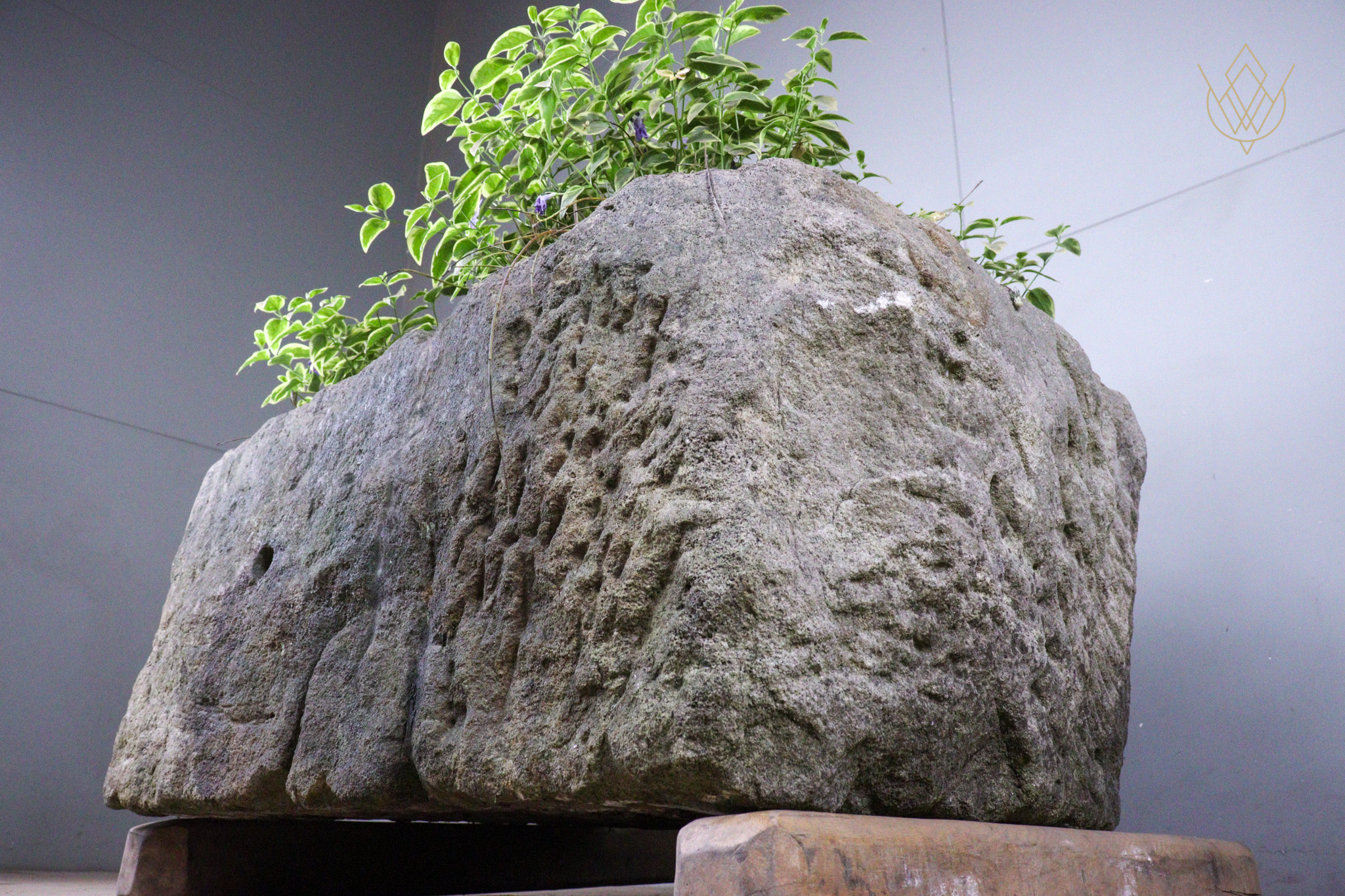 Large 18th Century Planted Sandstone Water Trough - WM12479 - Image 3