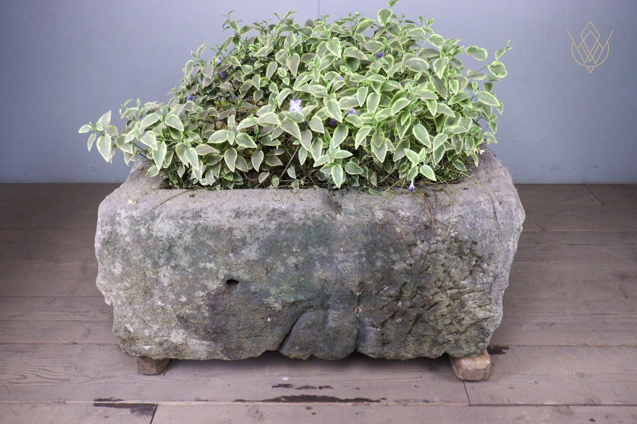 Large 18th Century Planted Sandstone Water Trough - WM12479 - Image 13
