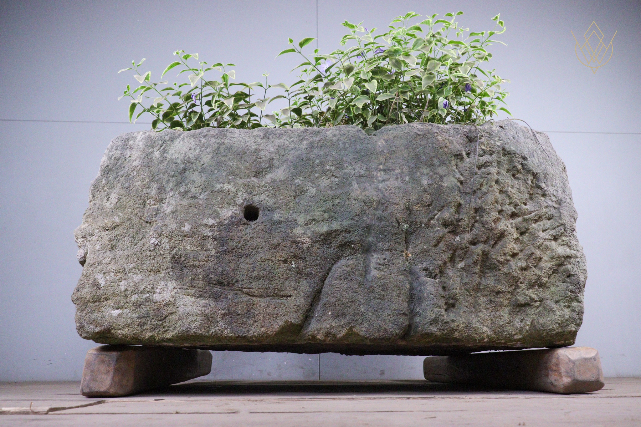 Large 18th Century Planted Sandstone Water Trough - WM12479 - Image 10