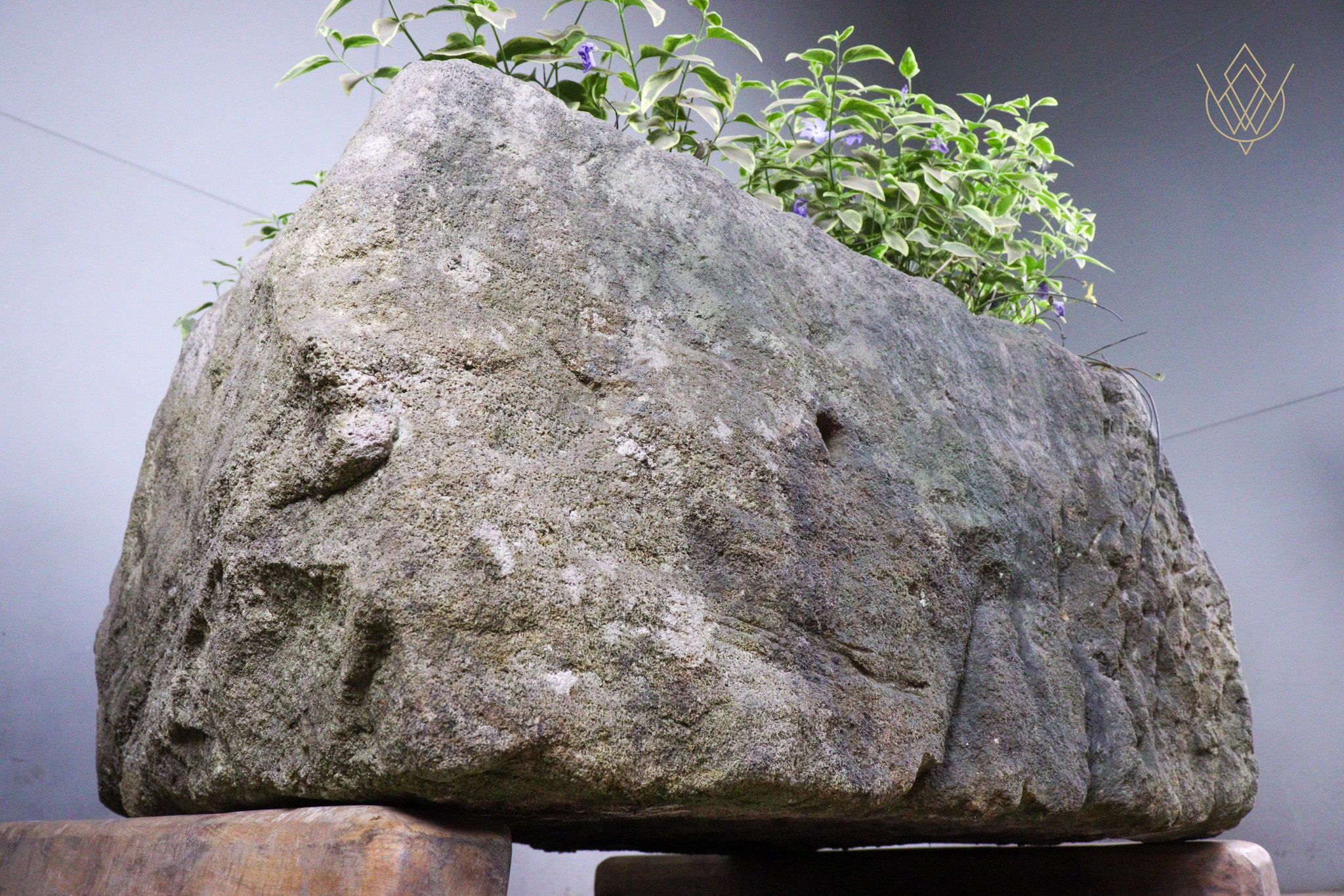 Large 18th Century Planted Sandstone Water Trough - WM12479 - Image 7