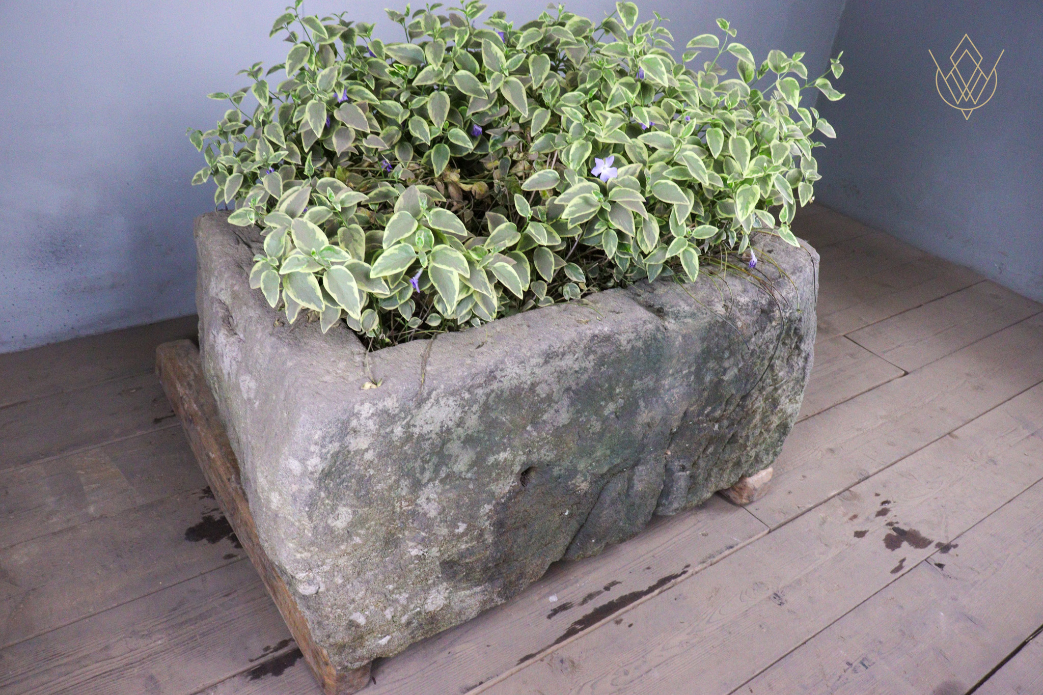Large 18th Century Planted Sandstone Water Trough - WM12479 - Image 6