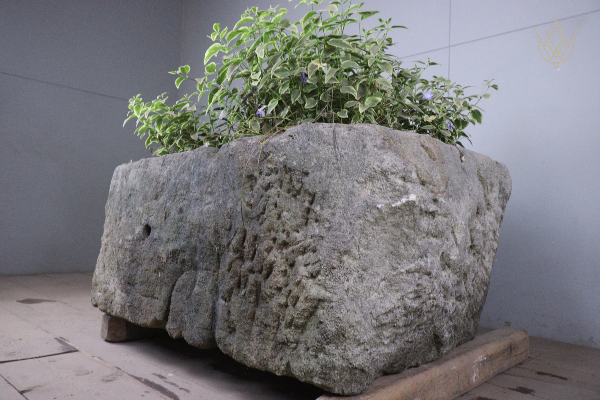 Large 18th Century Planted Sandstone Water Trough - WM12479 - Image 4