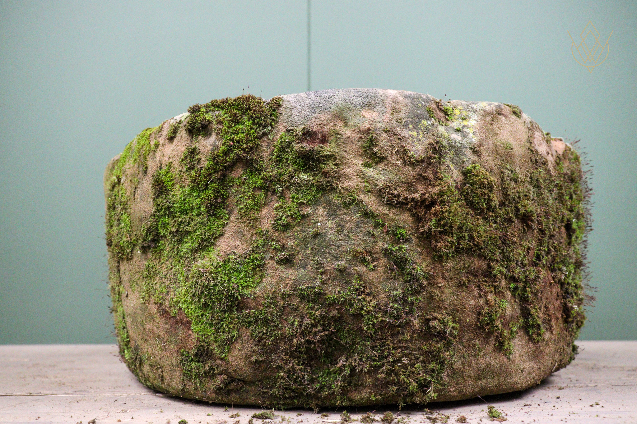 Round 18th Century Sandstone Pig Trough - WM12531 - Image 4