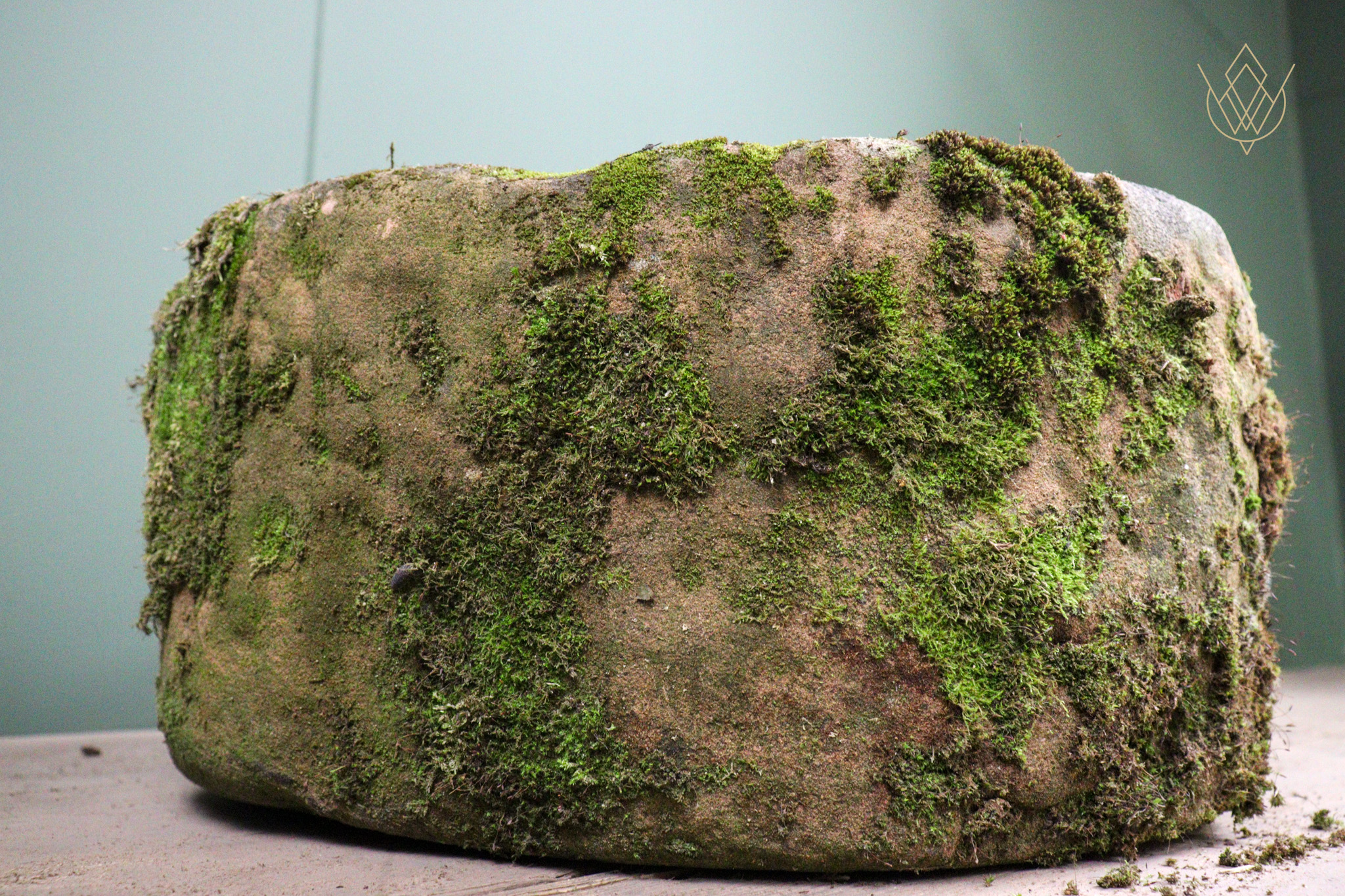 Round 18th Century Sandstone Pig Trough - WM12531 - Image 3