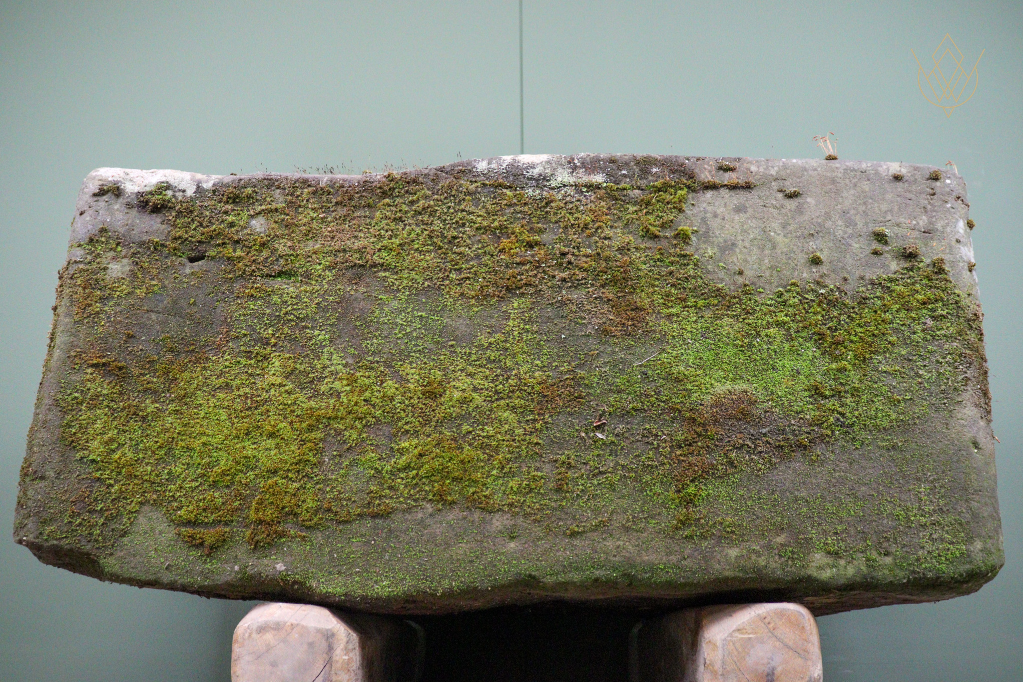 19th Century Sandstone Water Trough/Stone Planter - WM12538 - Image 4