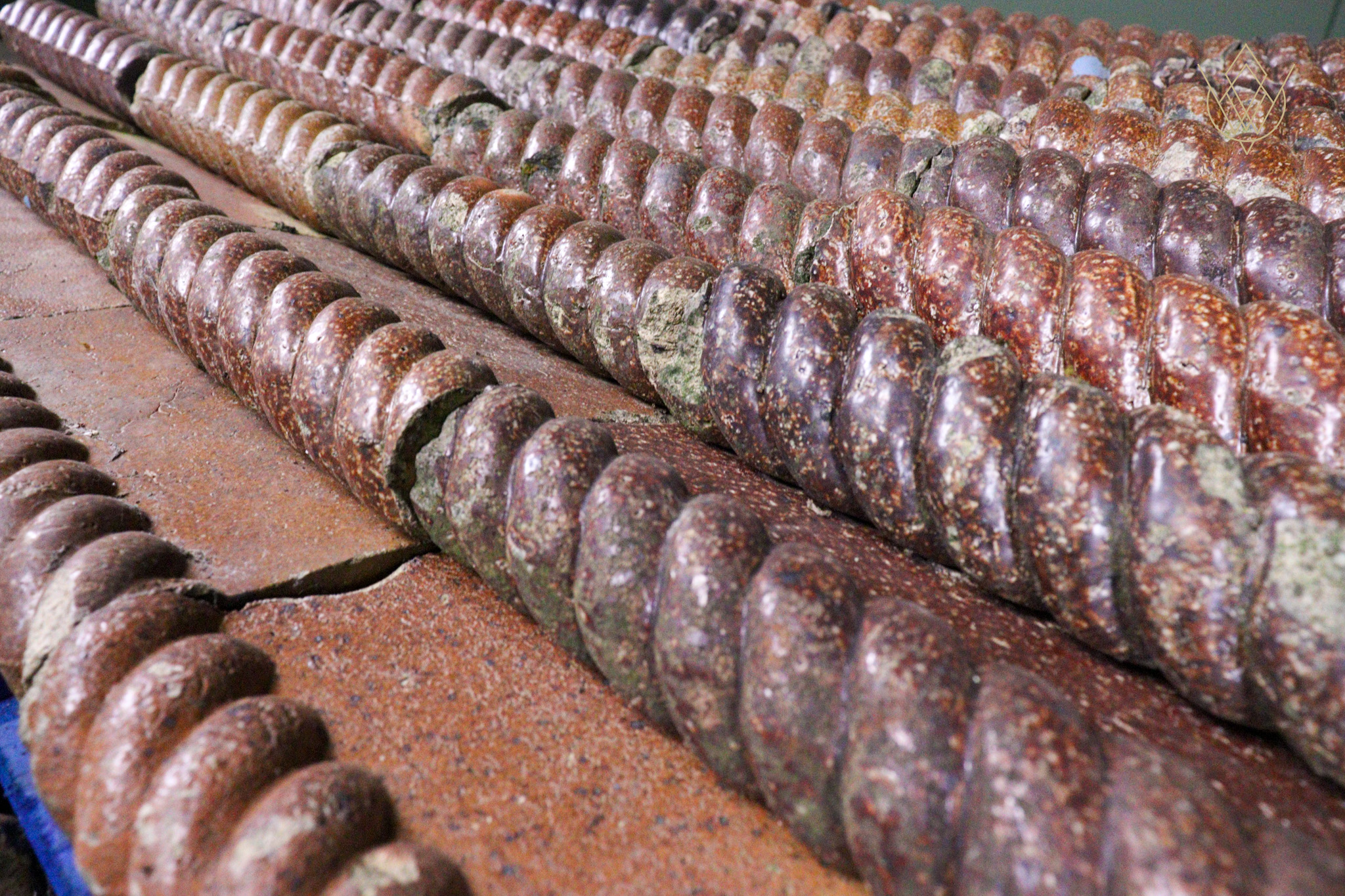 51x Victorian Salt Glazed Terracotta Rope Edgings - WM12642 - Image 3